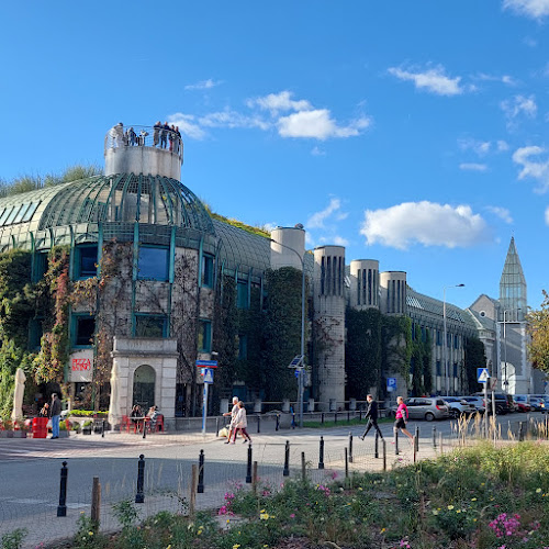 Opinii despre Boscaiola Pizzeria în Warszawa - Gastronomia