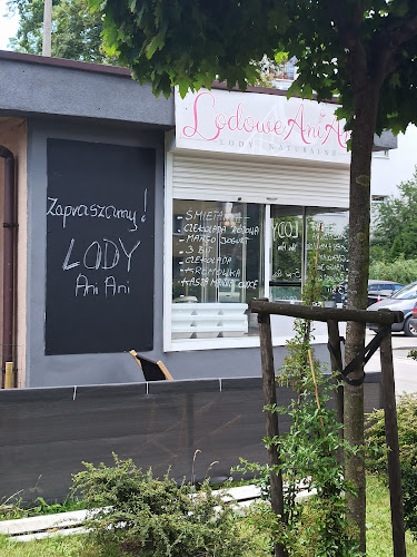 Lodziarnia Ani Ani