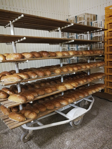 generała Władysława Sikorskiego 5, 58-130 Żarów