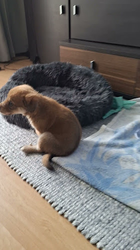 Noworudzka 1, 57-300 Kłodzko