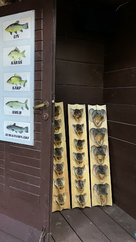 Opinii despre Bar Pod Samolotem în Okuninka - Gastronomia