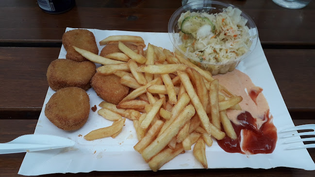 Comentarii opinii despre Bar Wodnik