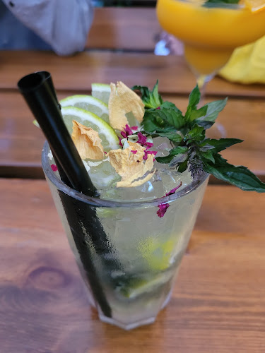 Restauracja LEMON - Gastronomia