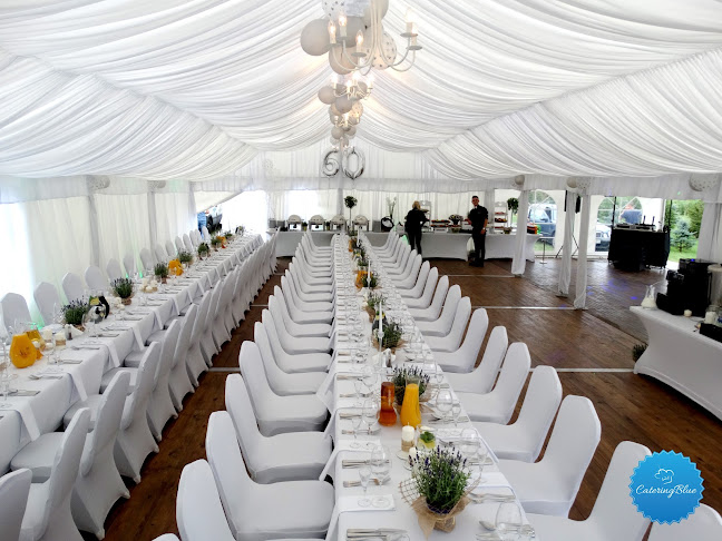 Comentarii opinii despre Catering Blue Events