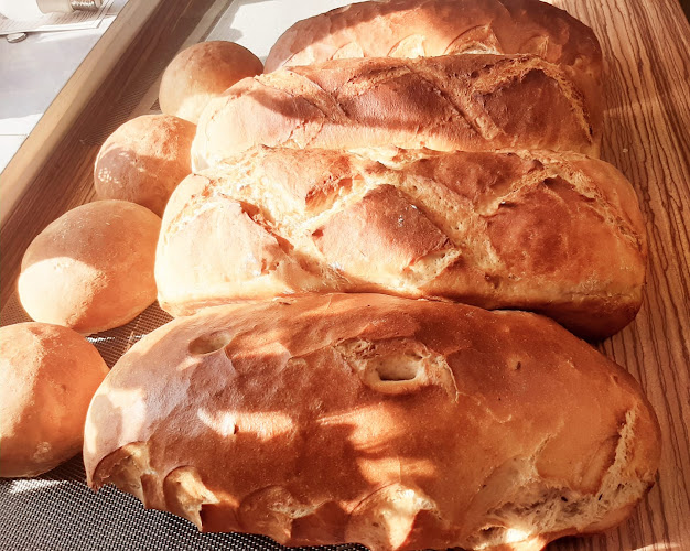 Opinii despre Sielski Smak Kamil Brotoń în Sygneczów - Gastronomia