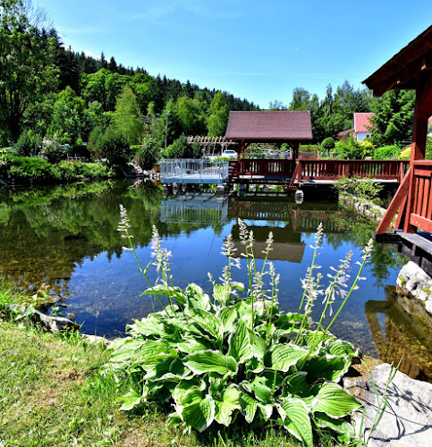 Nad Stawami - Restauracja - Noclegi - Kletno - Kletno