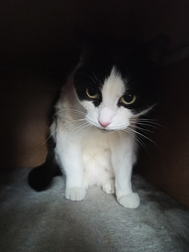 Kocia Ferajna - Gastronomia