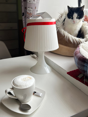 Kocia Ferajna - Bydgoszcz