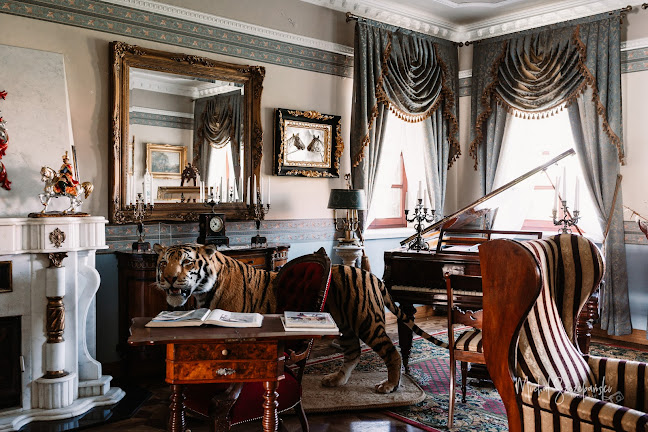 Gutów 44, 63-410 Ostrów Wielkopolski