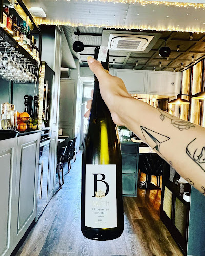 Comentarii opinii despre Palnik