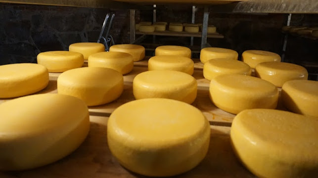 Opinii despre Spiżarnia Hrabiny Potulickiej în Ślesin - Gastronomia