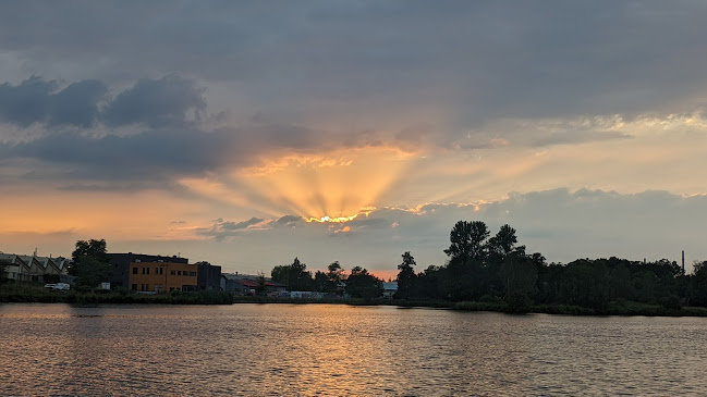 Comentarii opinii despre Piekarnia S.C. Wilibald Dziwoki Mateusz Dziwoki Marzena Szweda