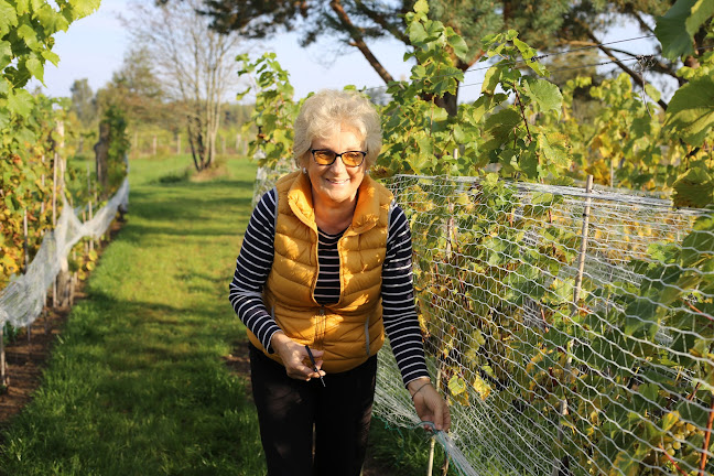 Opinii despre Winnica Veneda în Wodnica - Gastronomia
