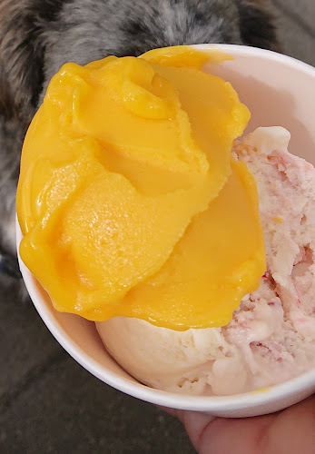 Lodziarnia "Rodzinna" - Szczecin