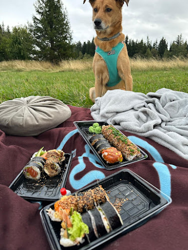 Sushi Bar - Gastronomia