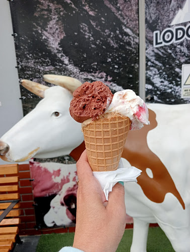 Lodziarnia Lodowiec - Gastronomia