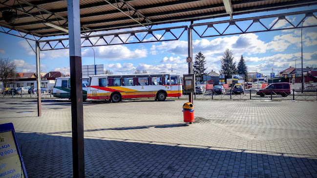 Zapiekanki - Gastronomia