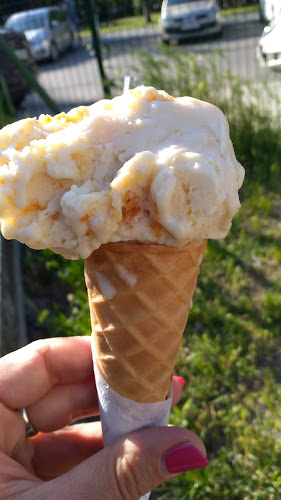 Opinii despre Good Lood – lody rzemieślnicze în Kraków - Gastronomia