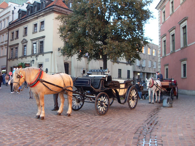 Lody z tradycją. Wytwórnia lodów prawdziwych Open Times