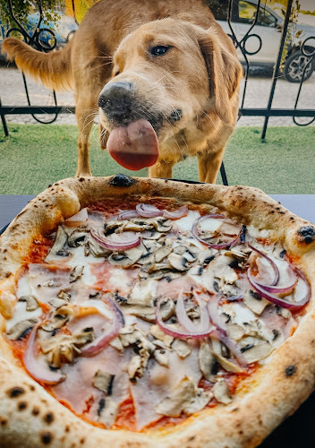 Głodna Małpa Pizza & Chill