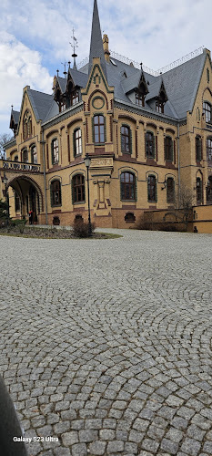 Pałac Większyce - Większyce