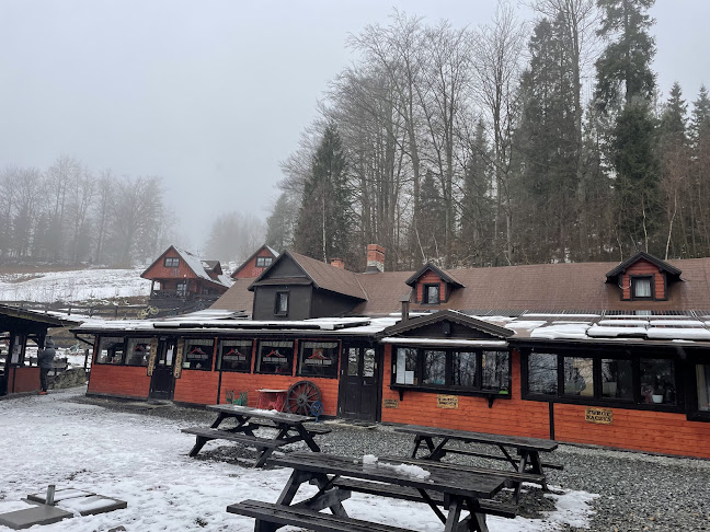 Comentarii opinii despre Chata Wuja Toma