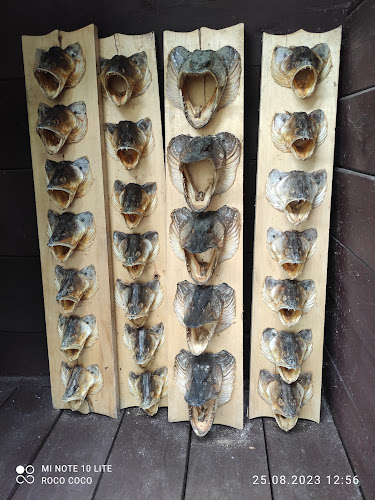 Comentarii opinii despre Bar Pod Samolotem