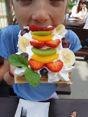 Opinii despre Lodziarnia pod Trampoliną în Stalowa Wola - Gastronomia