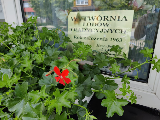 Reviews of Lody tradycyjne in Zamość - Gastronomia