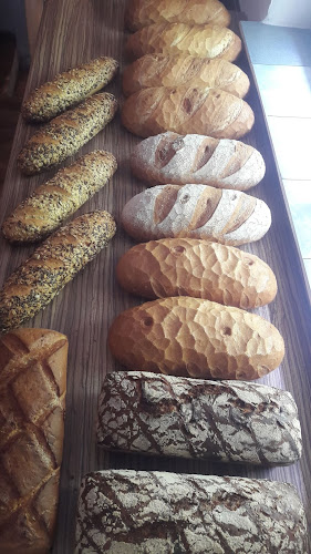 Sielski Smak Kamil Brotoń - Sygneczów