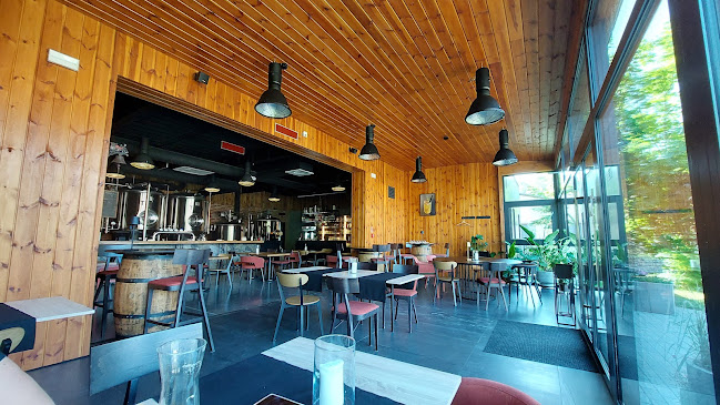 Mikołaja Kopernika 9C, 13-300 Nowe Miasto Lubawskie