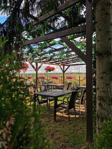 Restauracja Portofino - Gastronomia