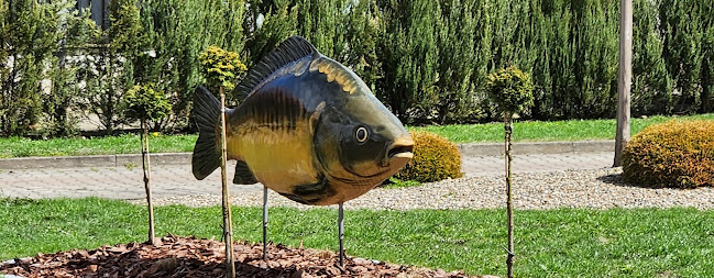 Państwowe Gospodarsto Leśne. Lasy Państwowe. Gospodarstwo Rybackie Niemodlin - Gastronomia