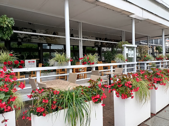 Bohaterów Monte Cassino 60, 81-759 Sopot