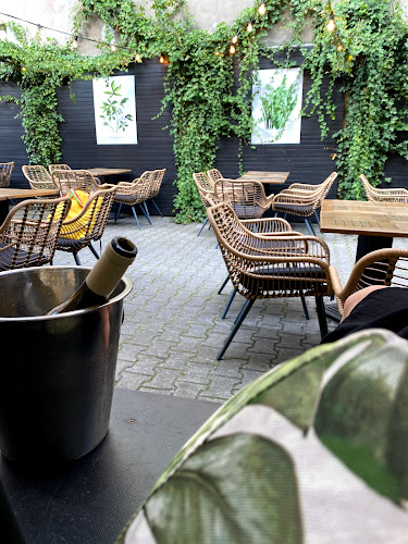 Opinii despre Przyjaciele Restauracja & Bar în Warszawa - Gastronomia