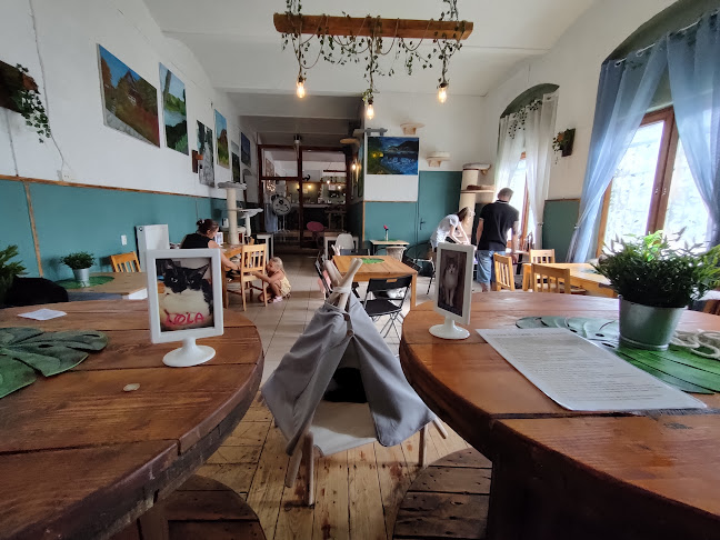 Opinii despre Kocia Kawiarnia Mruczkowo - Gliwice(7+) în Gliwice - Gastronomia