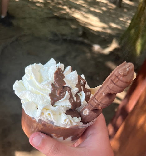 Comentarii opinii despre Sopelek