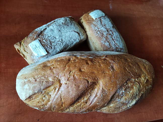 Comentarii opinii despre Piekarnia S.C. Wilibald Dziwoki Mateusz Dziwoki Marzena Szweda