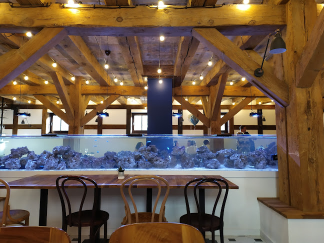 Stary Port 13, 85-068 Bydgoszcz