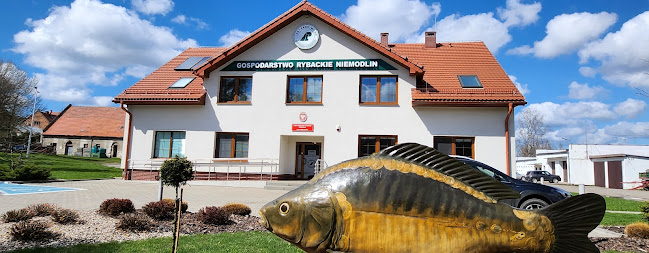 Państwowe Gospodarsto Leśne. Lasy Państwowe. Gospodarstwo Rybackie Niemodlin - Niemodlin