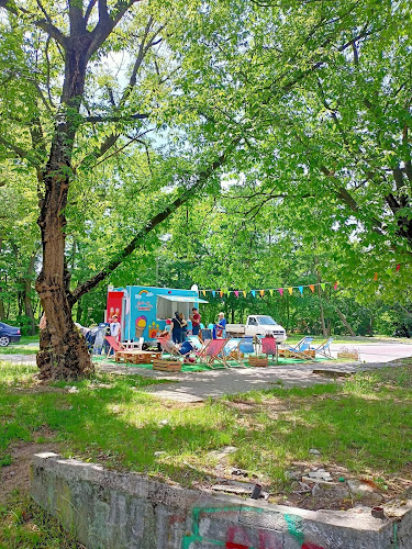 Molto Bene - lody naturalne - Gastronomia