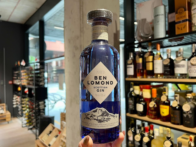 Comentarii opinii despre Winoteqa