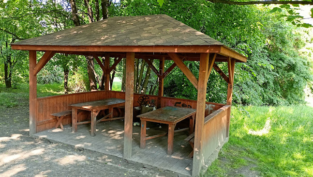 Opinii despre Wiaty grillowe în Siemianowice Śląskie - Gastronomia
