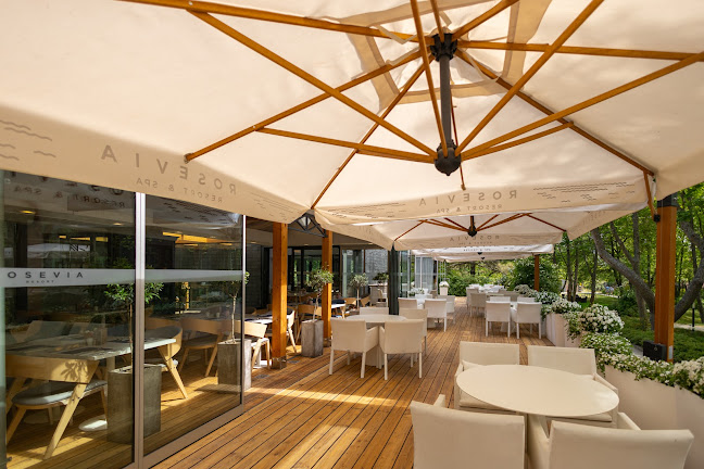 Rozewska 23, 84-104 Rozewie