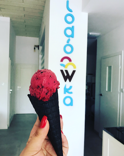 Lodziarnia Lodówka - Gastronomia