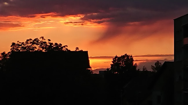 Comentarii opinii despre Pizzeria Prima