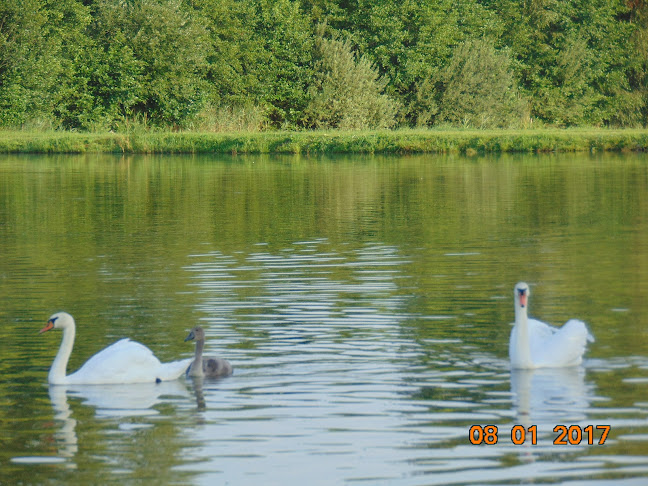 Smażalnia Ryb Chościszowice - Gastronomia