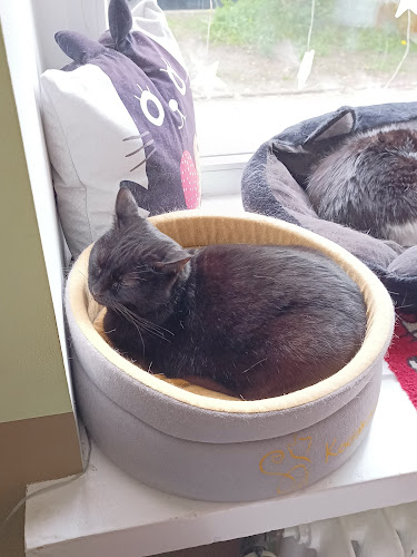 Kocia Ferajna - Gastronomia