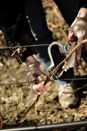 Poniatowskiego 53, 41-407 Imielin