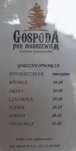 Gospoda pod Modrzewiem - Gastronomia